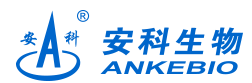 36 安科生物